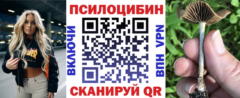 Галлюциногенные грибы GOLDEN TEACHER  где найти   Верхний Уфалей 