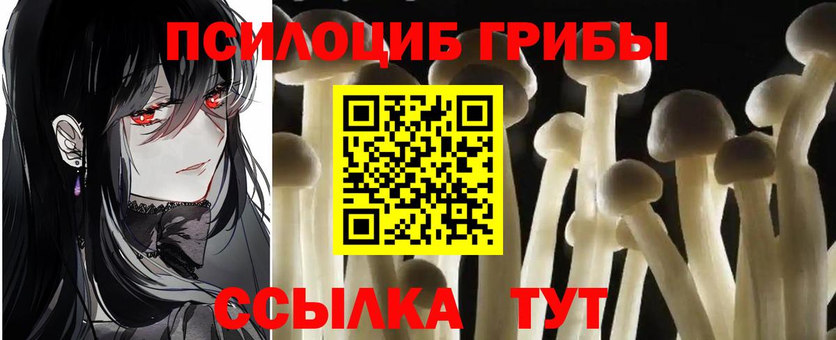Псилоцибиновые грибы MAGIC MUSHROOMS Верхний Уфалей